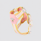 Stylish Summer Dog Harness & Leash Set