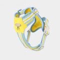 Stylish Summer Dog Harness & Leash Set