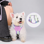 Stylish Summer Dog Harness & Leash Set